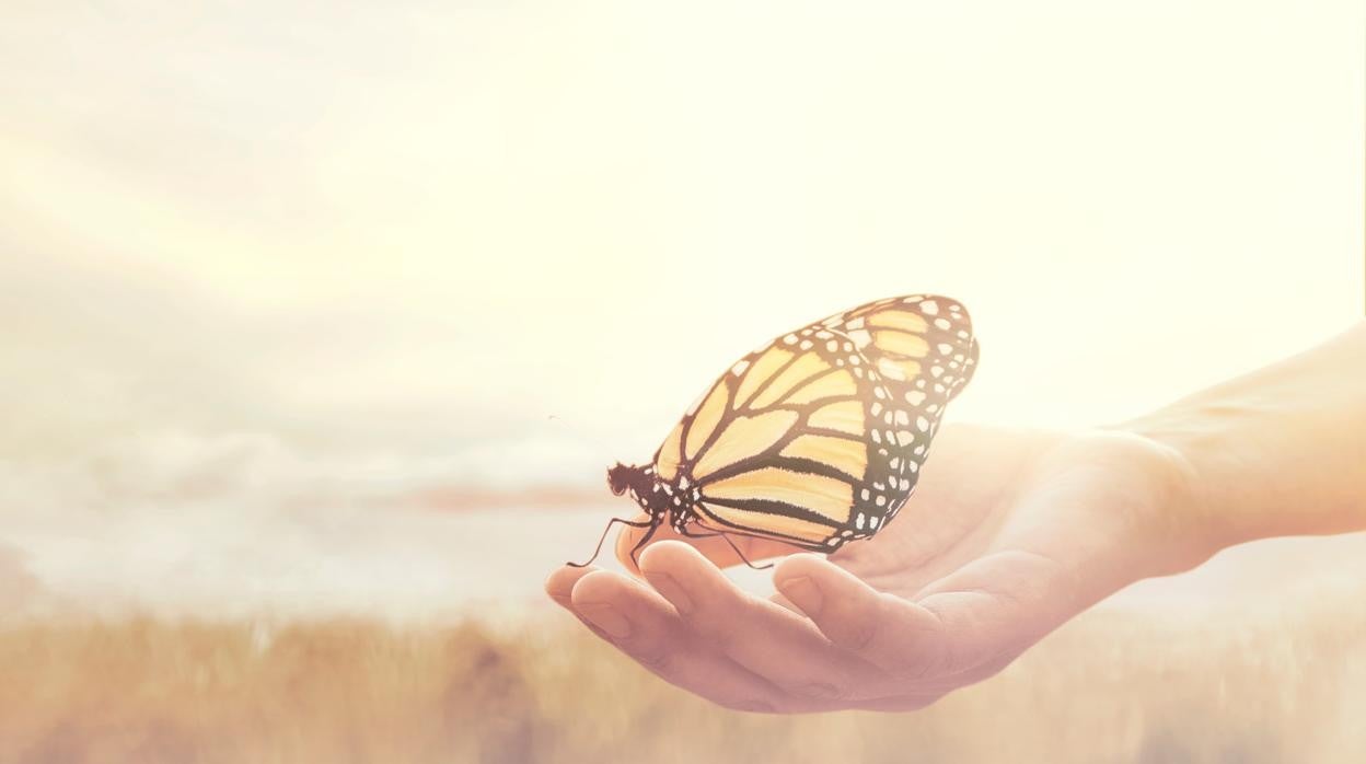 Ser conscientes de nuestros valores nos ayuda a sentirnos respetados.