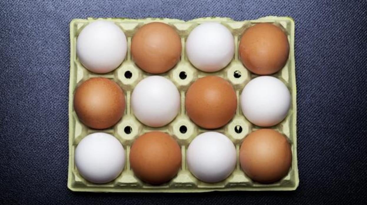 Los huevos son uno de los alimentos que se debe evitar lavar para no intoxicarse