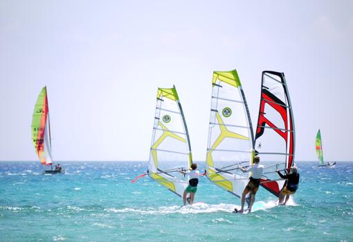 Windsurf.