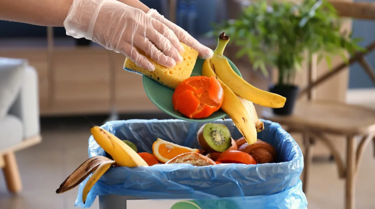 Ahorra en la cesta de la compra y evita el desperdicio alimentario