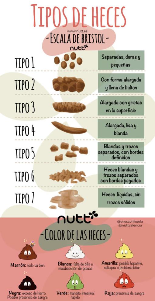 Representación de la Escala de Bristol realizada por Elisa Escorihuela, dietista nutricionista, farmacéutica y directora de Nutt.