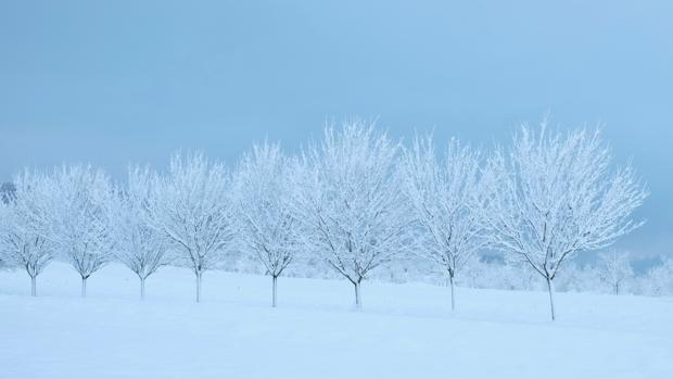 ¿Existe realmente la tristeza invernal?