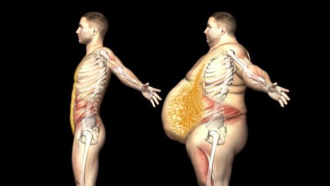 Qué es la grasa visceral y por qué debes combatirla
