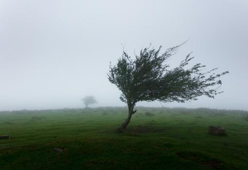 El viento nos afecta más de lo que creemos.