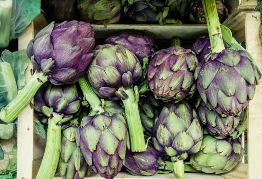 Alcachofas.