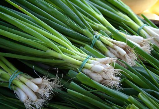 Puerros.