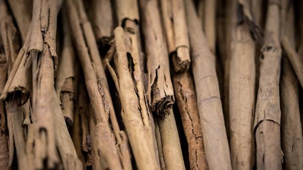 Alternativas de estimulantes para quien no toma café