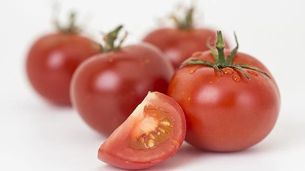 Los tomates modificados tienen cantidades de resveratrol y de de genisteína, un fitoestrógeno