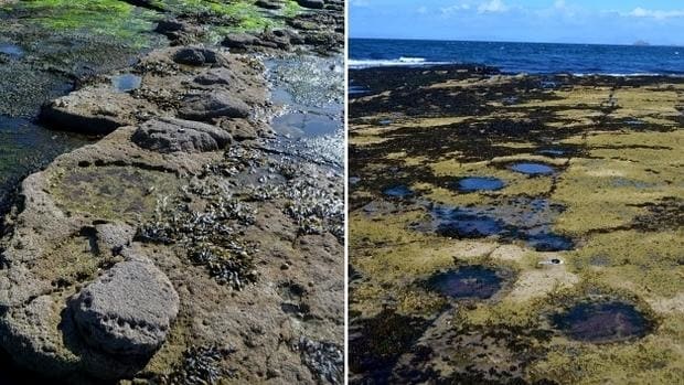 Huellas de dinosaurios en la isla escocesa de Skye