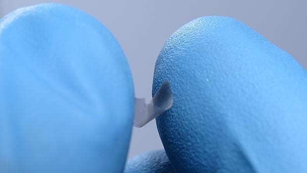 Un investigador sostiene una de las placas entre los dedos
