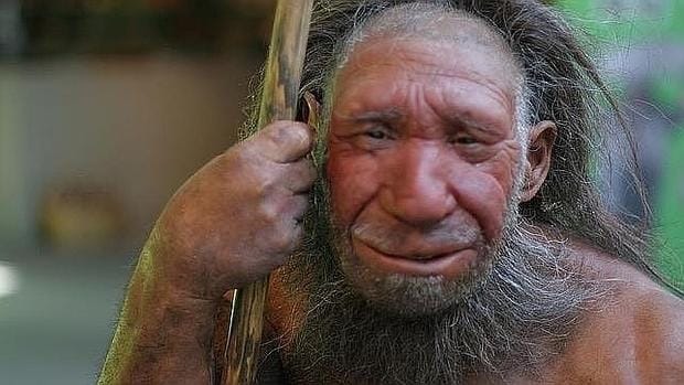 El 2% del genoma de los seres humanos modernos procede de los neandertales