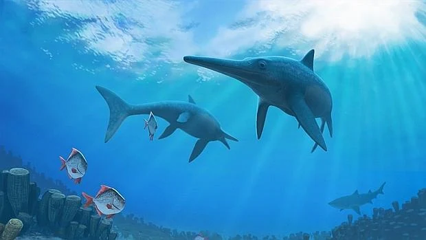 Los monstruos marinos que desaparecieron antes que los dinosaurios