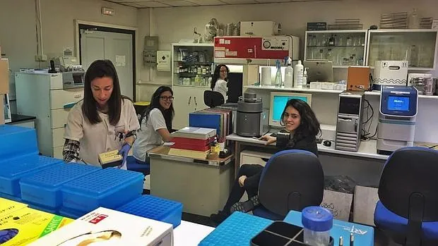 Científicas trabajan en el laboratorio de Epistem España, en el Hospital Carlos III