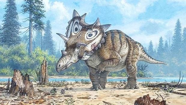 Recreación artística de Judith, el nuevo dinosaurio descubierto en Montana (EE.UU.)