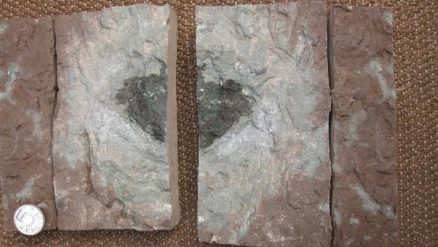 El primer ejemplo de un meteorito «extinto»