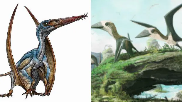 «Allkauren koi» a la izquierda, y un pequeño pterosaurio del grupo de la familia Azhdarchidae, a la derecha