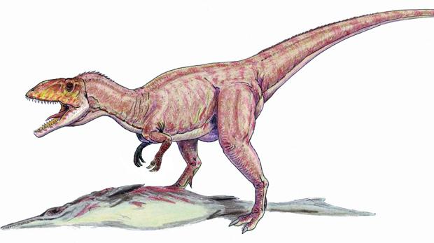 Reconstrucción del megalosáurido Eustreptospondylus, del Jurásico medio