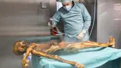 Análisis de la momia de Ötzi