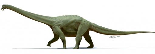 Así era el Diamantinasaurus matildae