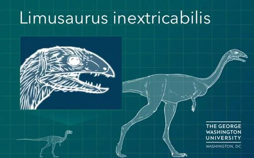 El extraño caso de los dinosaurios que perdían los dientes