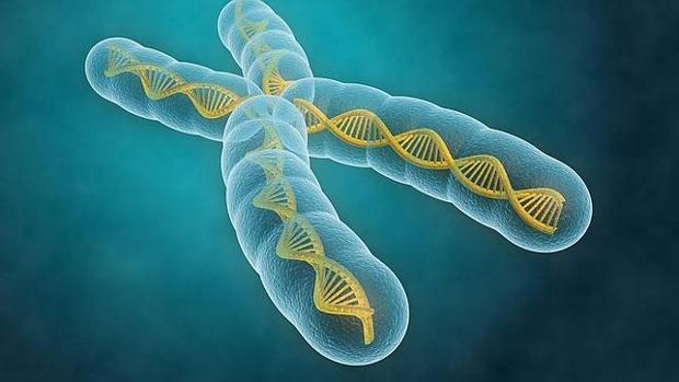 El próximo objetivo será fabricar un organismo con todo su material genético diseñado en el laboratorio