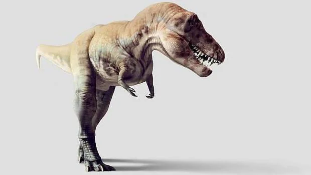 Recreación de un Tiranosaurio rex