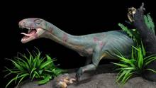 Una «gran lagartija» revoluciona la historia del origen de los dinosaurios