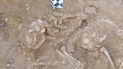 Gatos enterrados en un pozo de Hieracómpolis