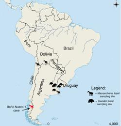 El animal más extraño según Darwin revela quién es en realidad