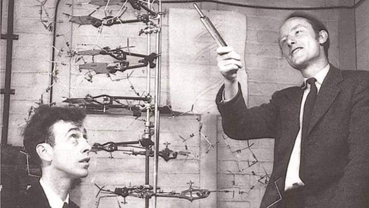 Francis Crick (derecha) junto a James D. Watson, codescubridores de la estructura y función del ADN