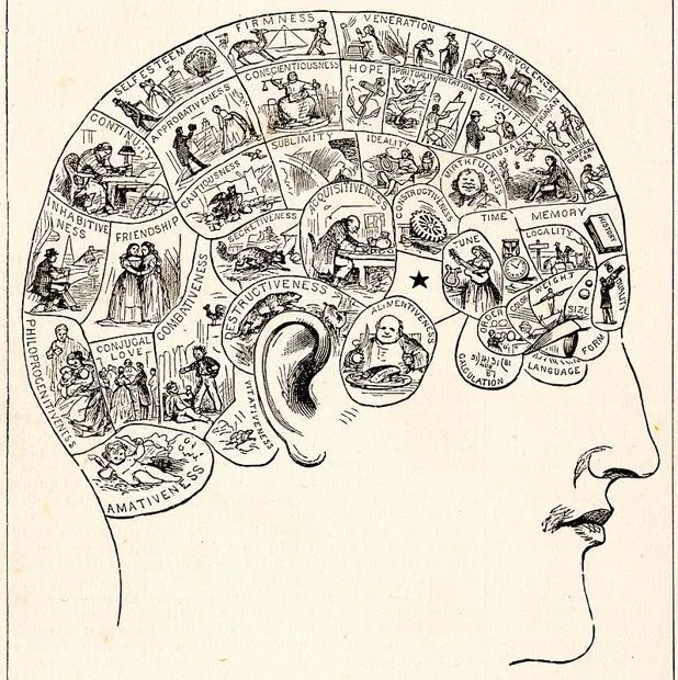 Una ilustración siglo XIX típica sobre frenología