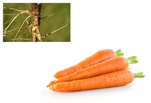 ¿Se comería usted esta fruta «natural»?