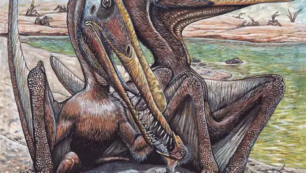 Pterosaurios Hamipterus tianshanensis