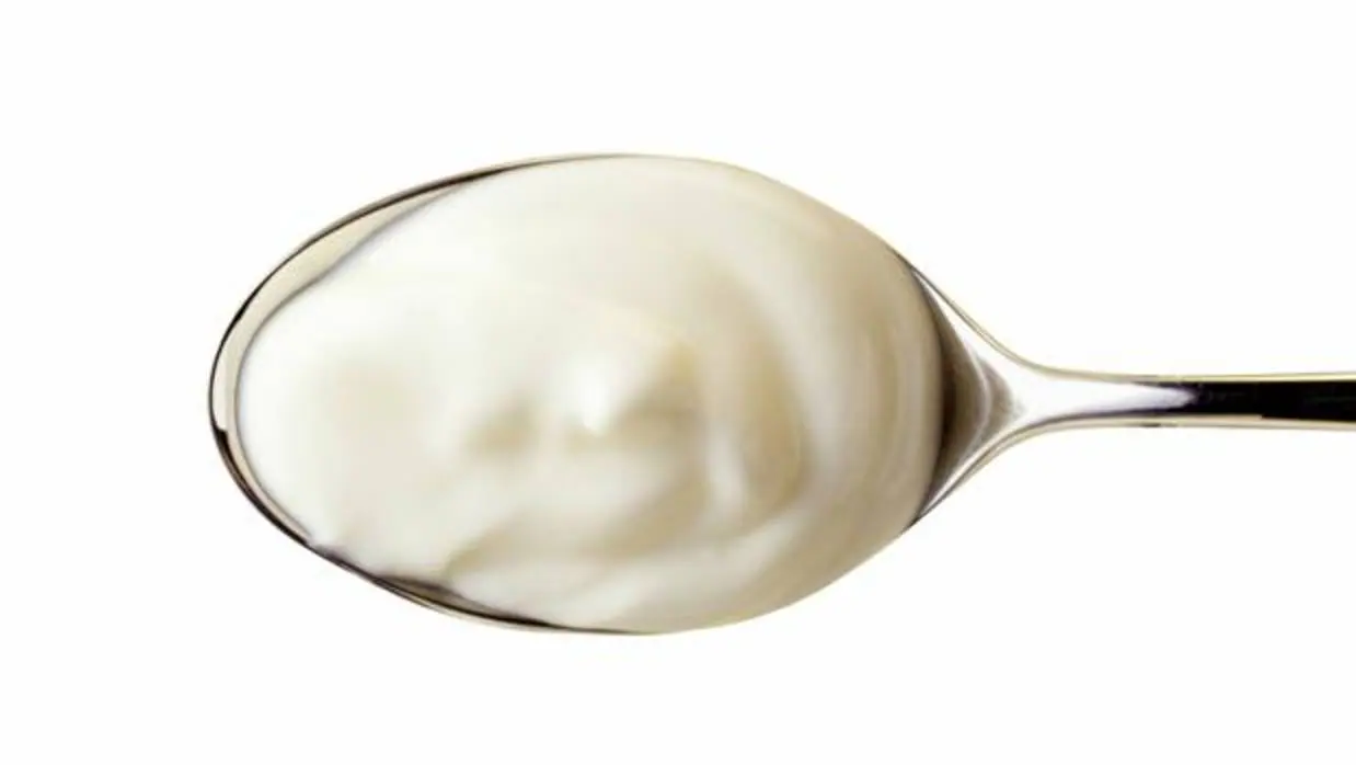 La fabricación de yogur genera residuos de ácido láctico, fructosa y lactosa que las bacterias pueden aprovechar
