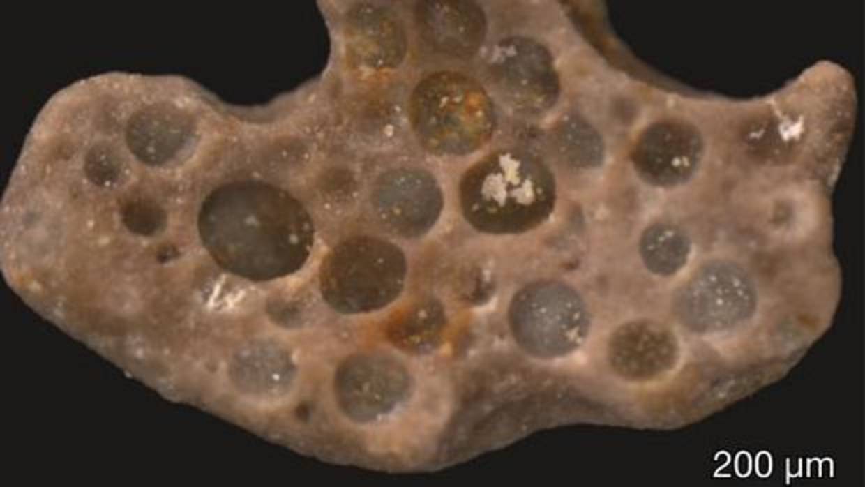 Burbujas fosilizadas de hace 1.600 millones de años
