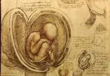 Estudio de embriones elaborado por Da Vinci entre 1510 y 1513