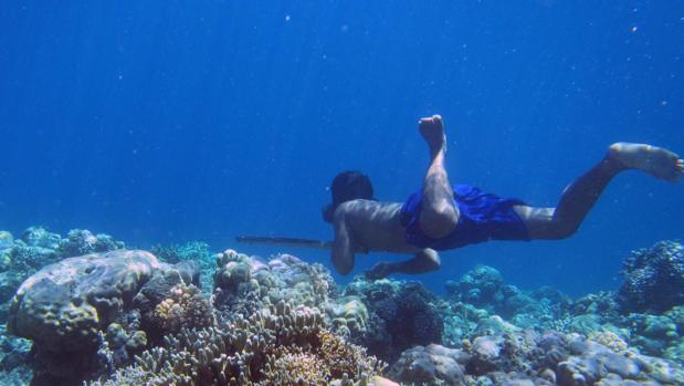 La evolución ha cambiado el cuerpo de los Bajau, los hombres que viven buceando