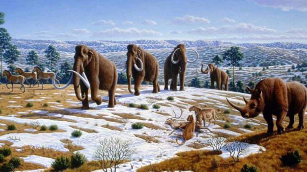 Fauna del Pleistoceno del Norte de España. La caza y la presencia humana acabaron con los grandes animales, lo que ha reducido el tamaño medio de los mamíferos en los continentes