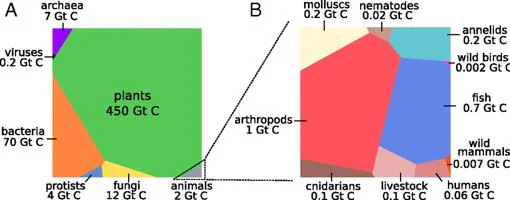 Distribución de la masa en forma de carbono (Gt C) entre todos los seres vivos