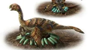 Los animales del género «Oviraptosaurus»