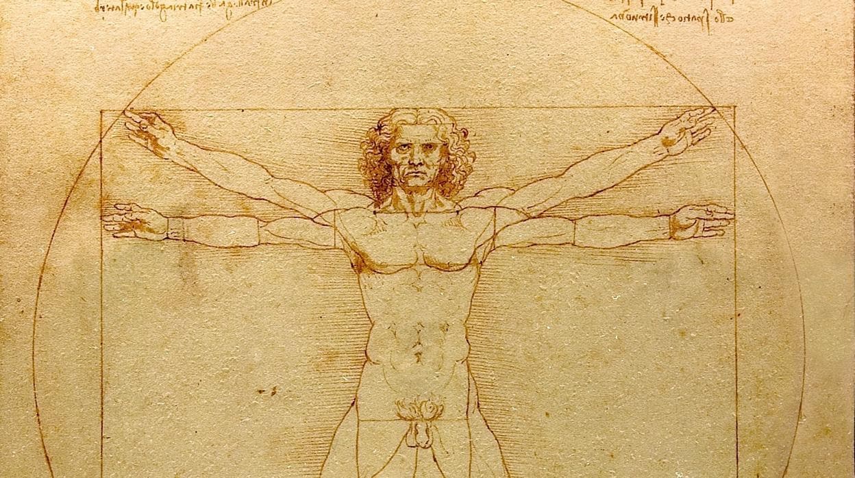 El hombre de Vitruvio, de Da Vinci, tiene un ancho, con los brazos extendidos, igual a su altura. Su ombligo está en el centro del círculo