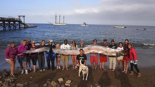 Instructores y alumnos del Catalina Island Marine Institute, con su gigantesco trofeo