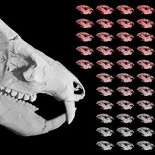 Los 38 bebés Kayentatherium encontrados junto a un adulto, que los investigadores creen que es su madre