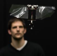 El robot mueve sus alas 17 veces por segundo