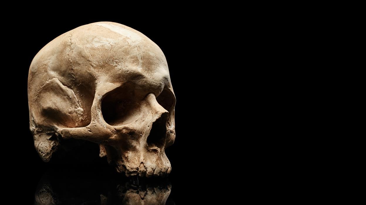 La colección está constituida por 900 cráneos. Morton la usó para establecer diferencias en el tamaño del cerebro entre «razas» humanas