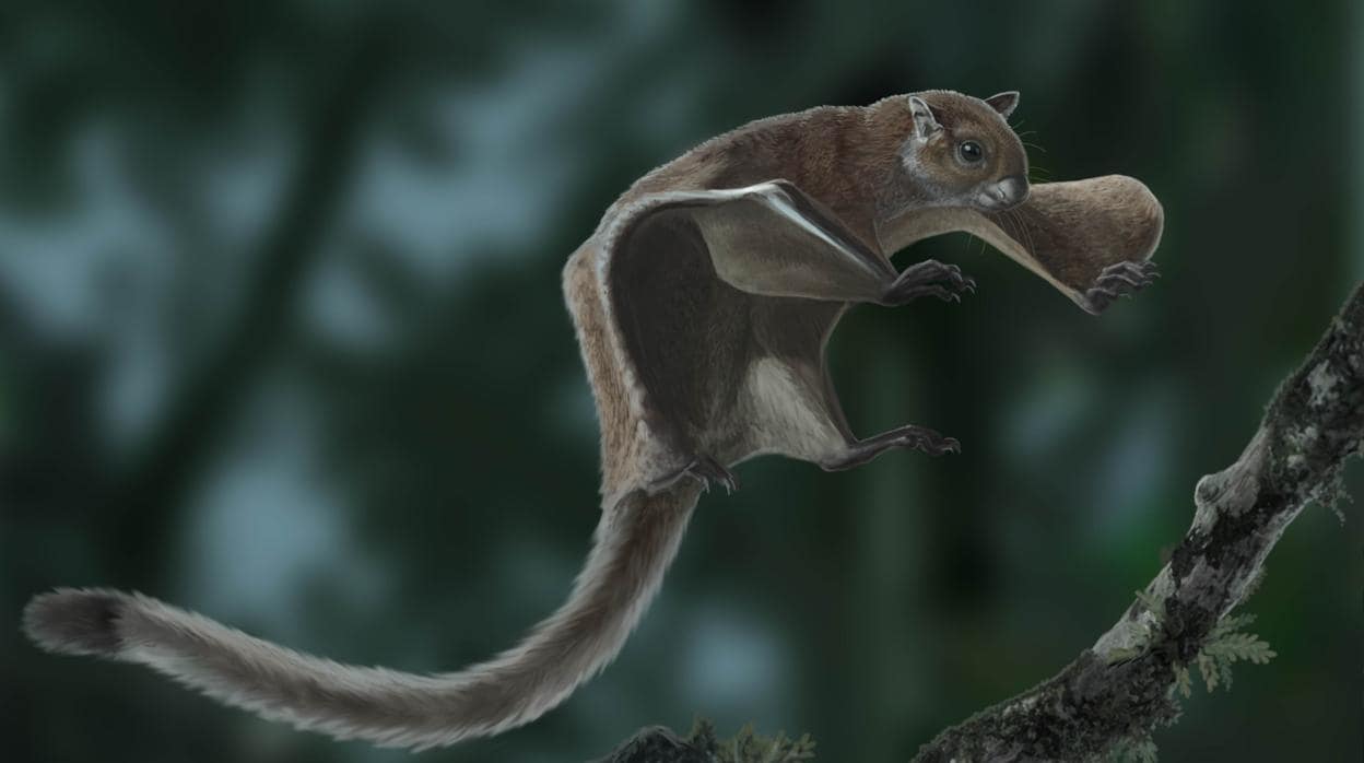 Recreación de la miopetaurista neogrivensis o ardilla voladora más antigua del mundo