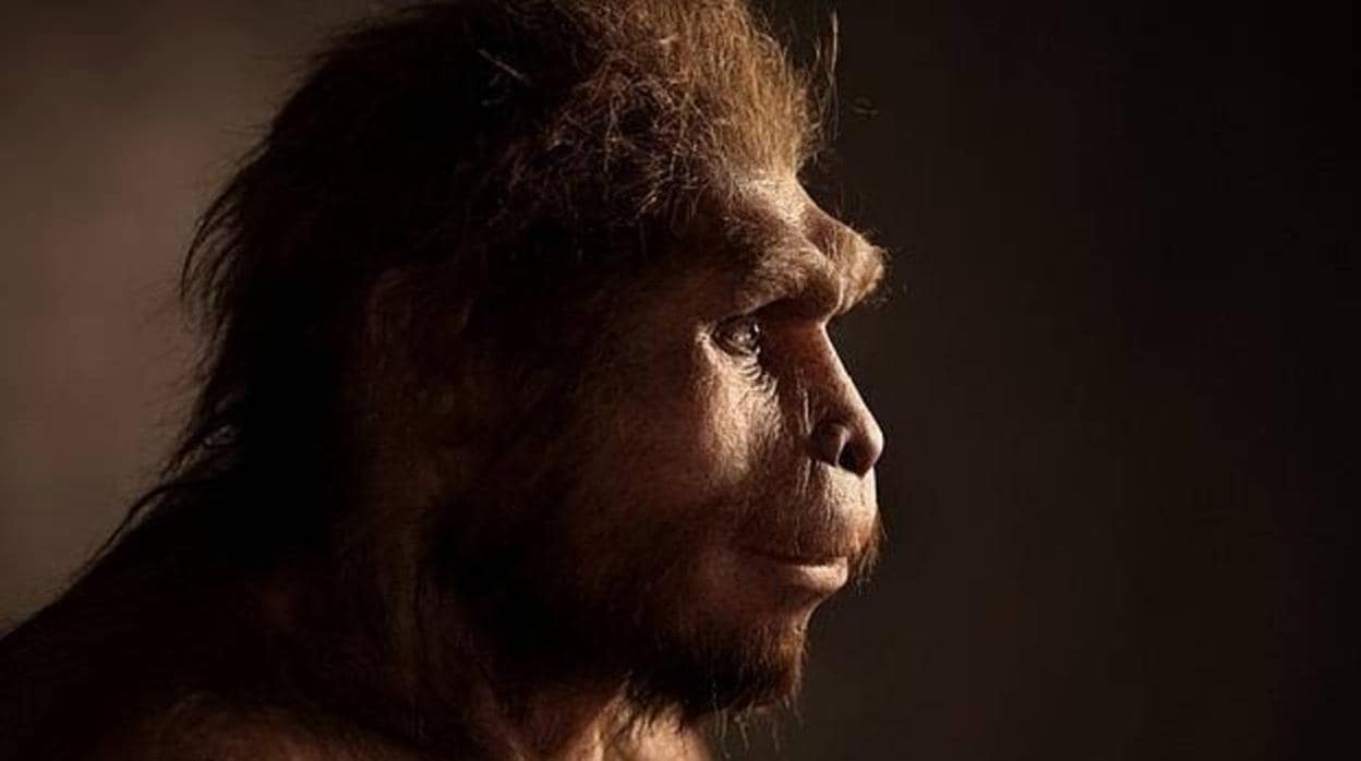 El Homo erectus, un «buen salvaje» a pesar de ser cazador