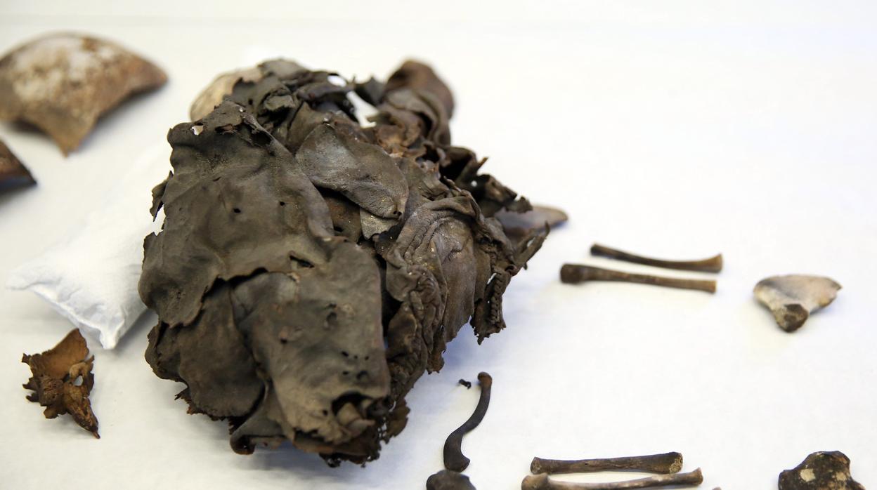 El Museo de Naturaleza y Arqueología de Tenerife presentó hoy los restos momificados de dos recién nacidos guanches que se han encontrado en el municipio de Guía de Isora