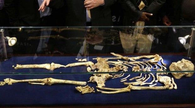 ¿Es el misterioso «Little Foot» una nueva especie de antepasado humano?