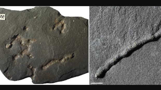 Hallan las huellas más antiguas de la Tierra, con 2.100 millones de años de edad